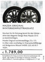 17'' Wintersatz.jpg